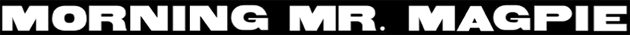 Morning Mr. Magpie